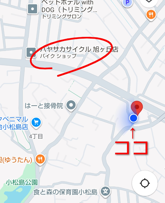 Screenshot_20250903-131003~3