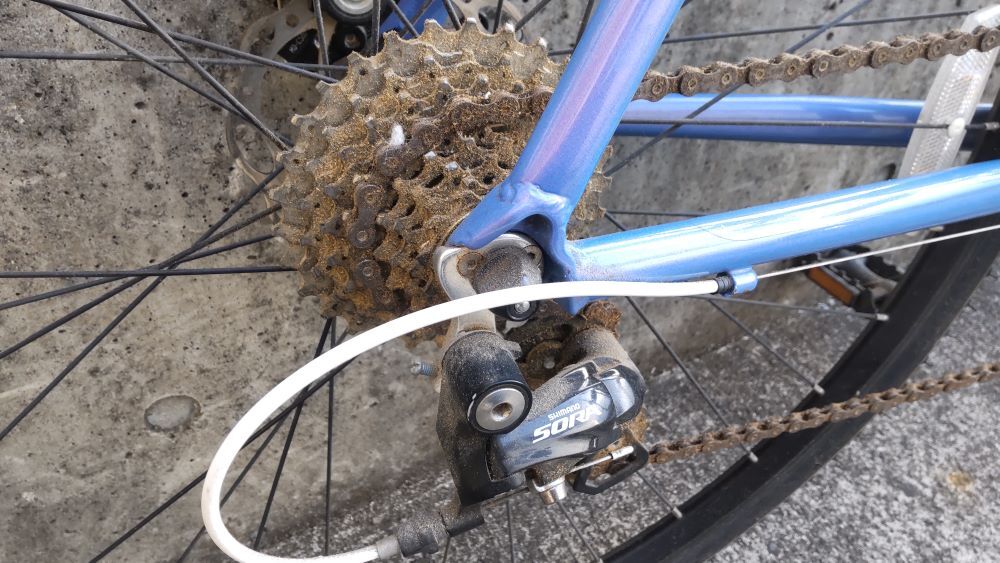 HORIZON_0001_BURST20251226145314991_COVER