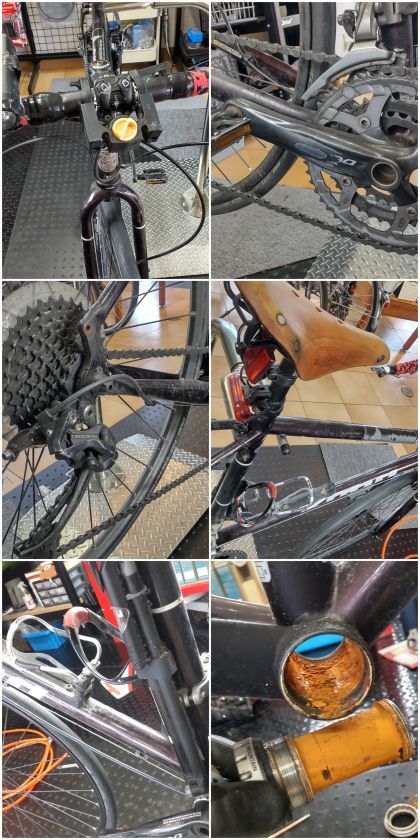 20260907_095558-COLLAGE